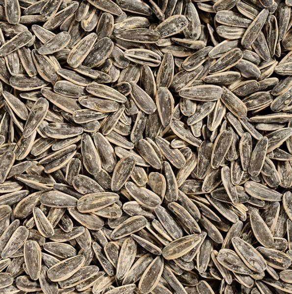 Dakota Ayçekirdeği 250 Gr